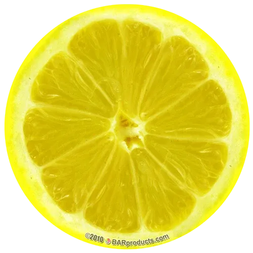 Kolorcoat™ Round Foam Coasters (4 Pack) - Lemon