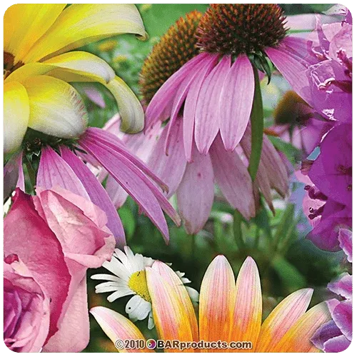 Kolorcoat™ Square Foam Coasters (4 Pack) - Flowers